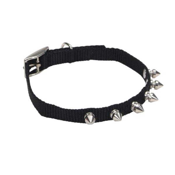 Li&#39;l Pals Spk Nyl Collar 3/8&quot; Black 10&quot;