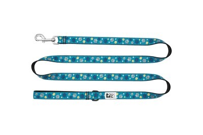 Leash 1x6 Fresh Tracks Teal