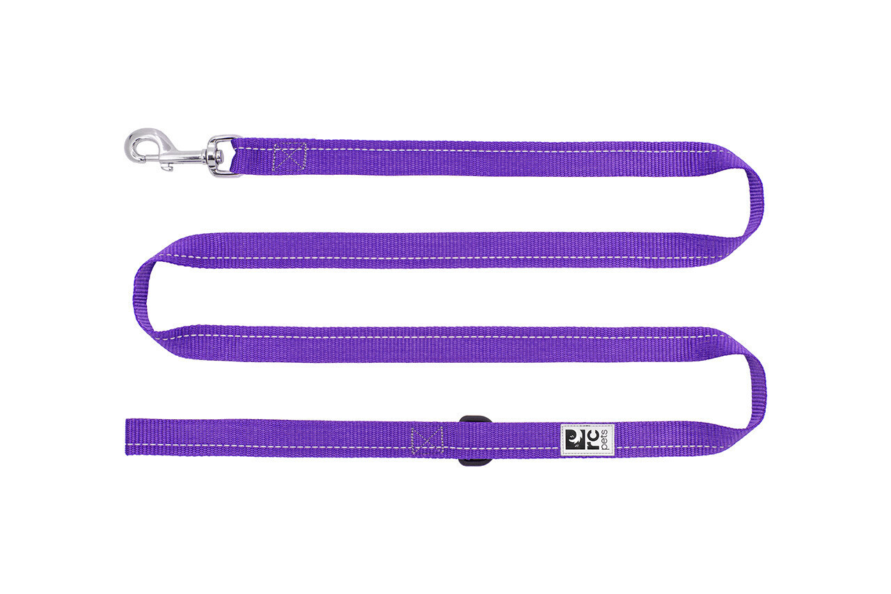 Leash Primary 1x6 Purple