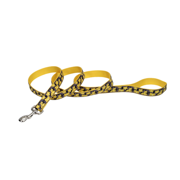 PetAttireRibbon Nylon Leash 1&quot;x6&#39; Buttercup