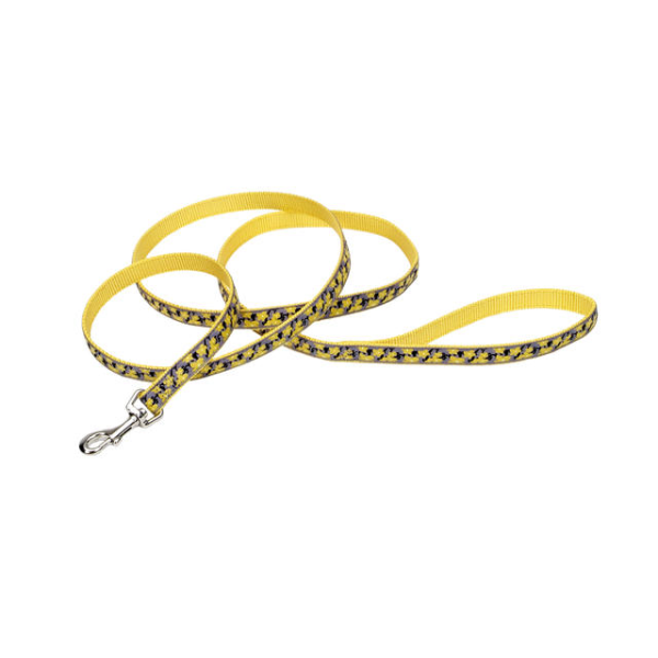 PetAttireRibbon Nyl Leash 5/8&quot; x 6&#39; Yellow Buttercup