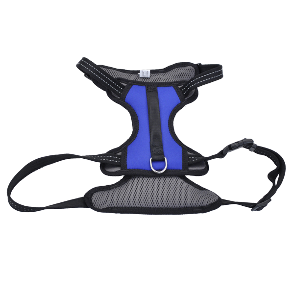 BTO Reflective Control Handle Harness 26-38&quot; Blue Large