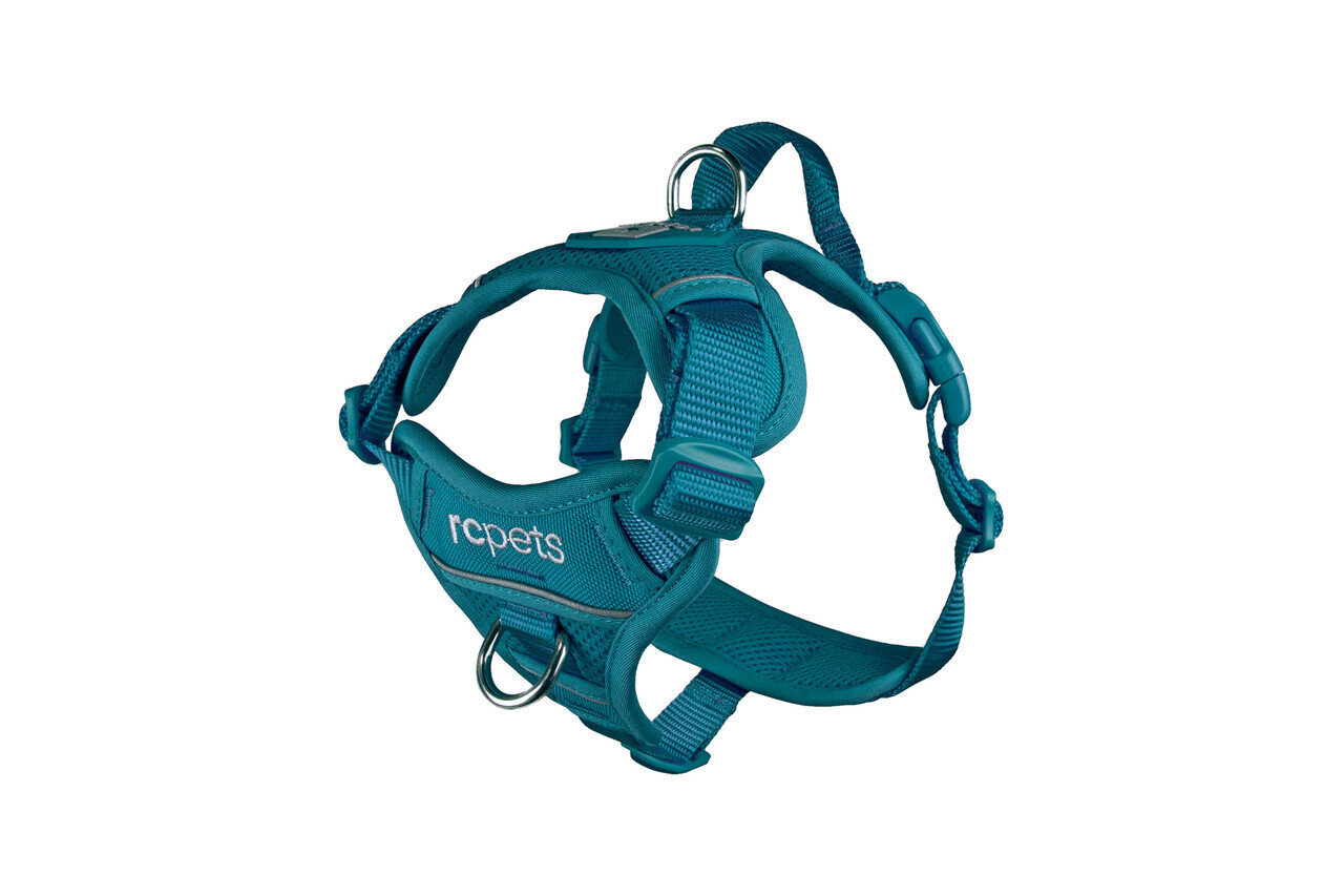 Momentum Harness Dark Teal Medium