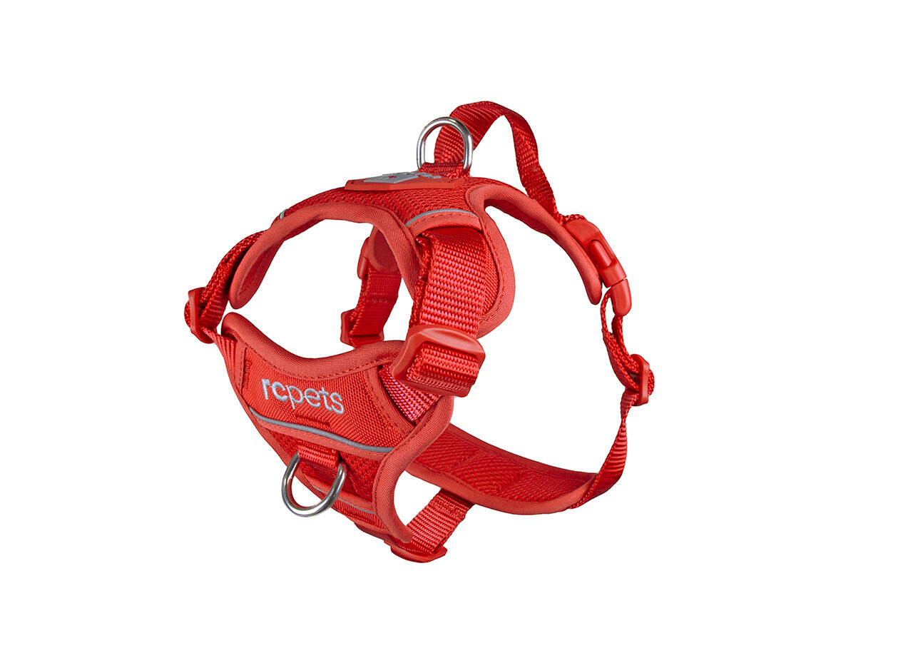 Momentum Harness Goji Berry Large
