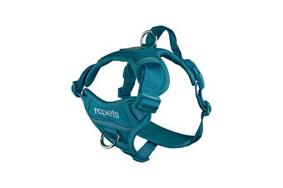 Momentum Harness Dark Teal