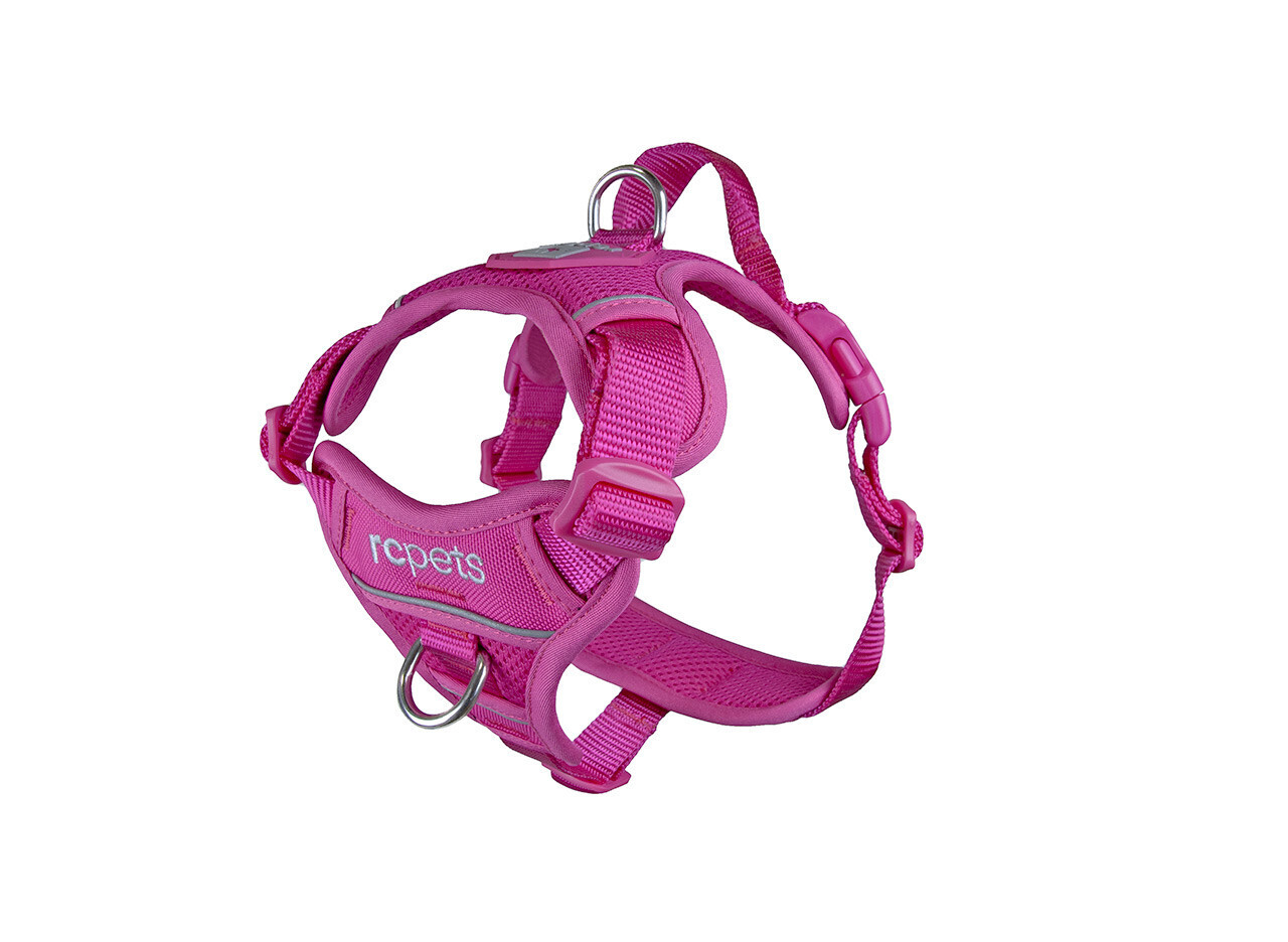 Momentum Harness Fuchsia