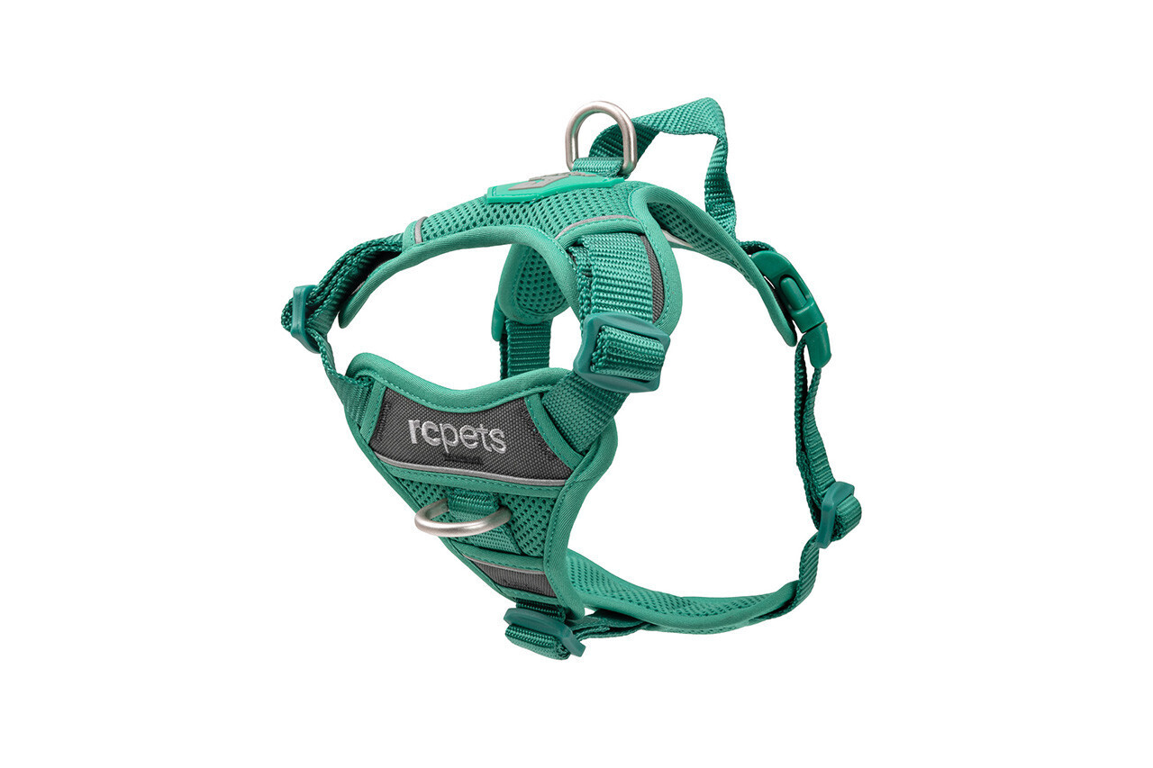 Momentum Harness S Parakeet