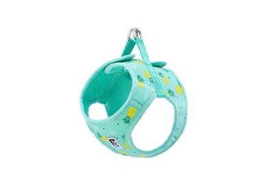 Step In Cirque Harness Pineapple Parade Small
