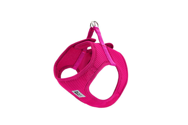 Step In Cirque Harness Raspberry Small