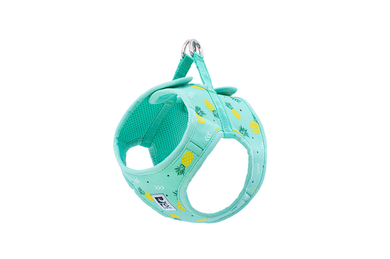 Step In Cirque Harness Pineapple Parade Large