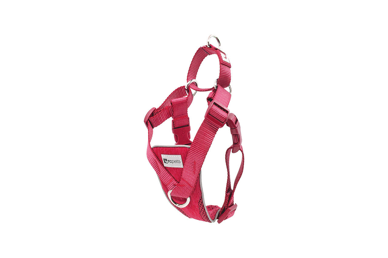 Tempo No Pull Harness Heather Azalea Medium