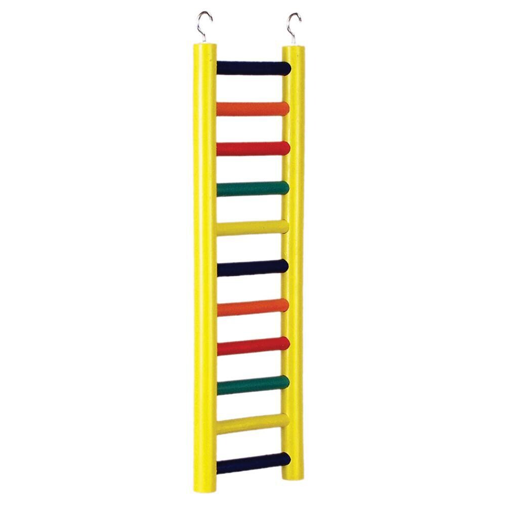Prevue Ladder 11 Rung 18 inch Coloured Hardwood