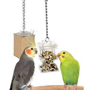 Caitec Foraging Box Feeder Small