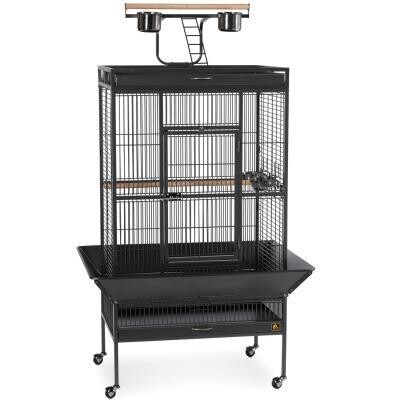 Prevue Pet Wrought Iron Home with Playtop 30 inch L x 22 inch W x 63 inch H