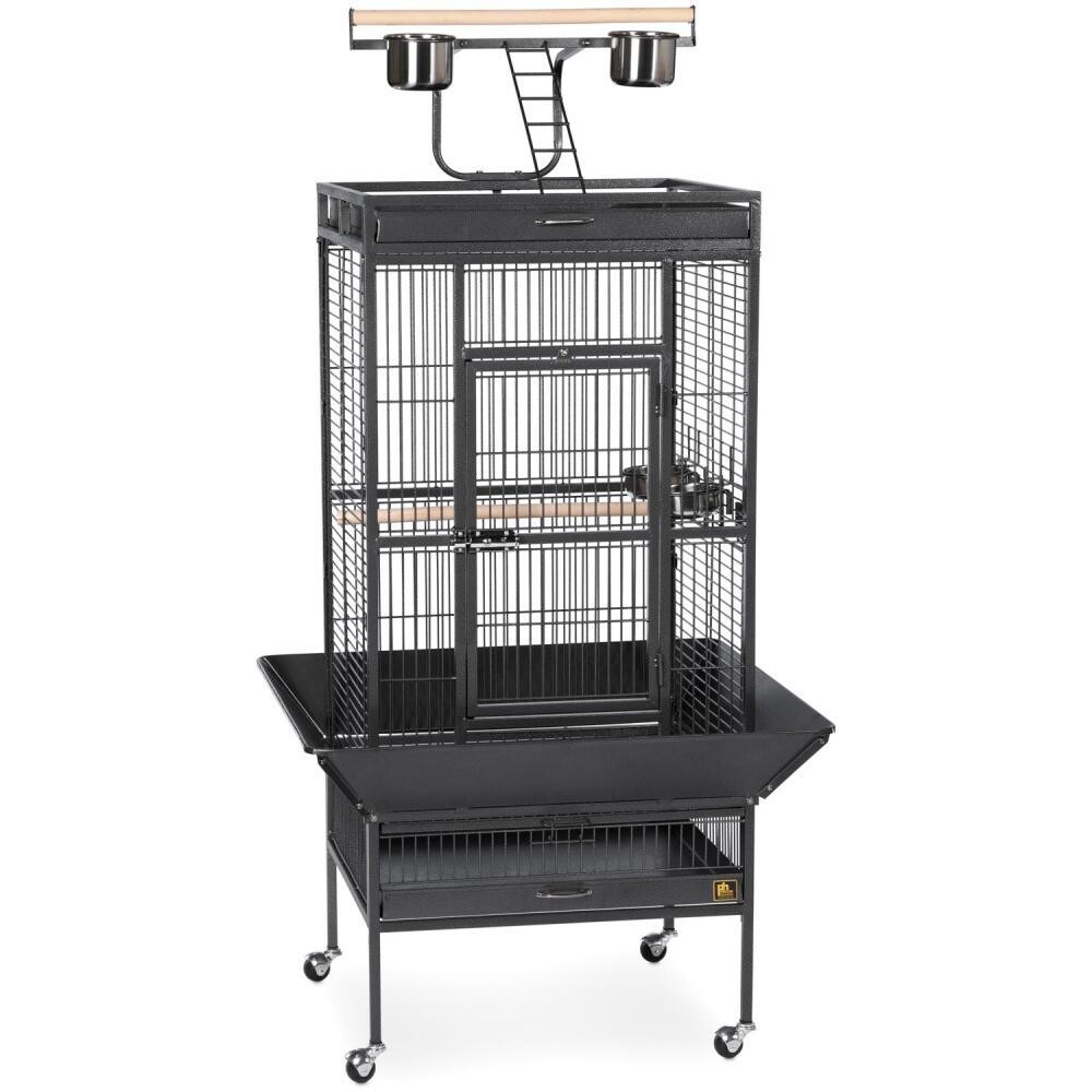 Prevue Select Wrought Iron Black Parrot Cage 24x20x60 3/4 inch