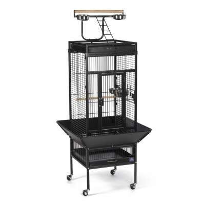 Prevue Select Wrought Iron Black Tiel Cage 18x18x57 Inches 3/4 inch Spacing With Casters/Seed Guard