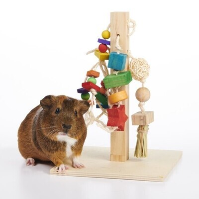 Chews and Toys