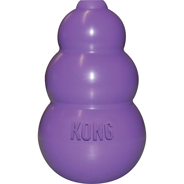 Kitty KONG