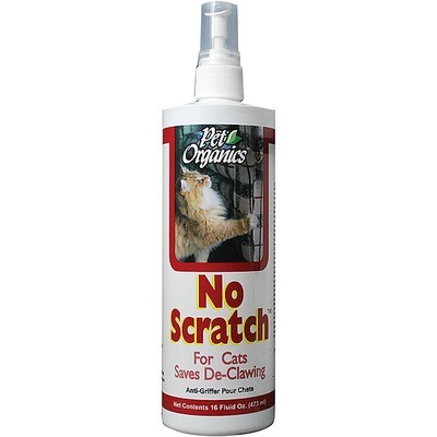 Pet Organics No Scratch Cat 16OZ