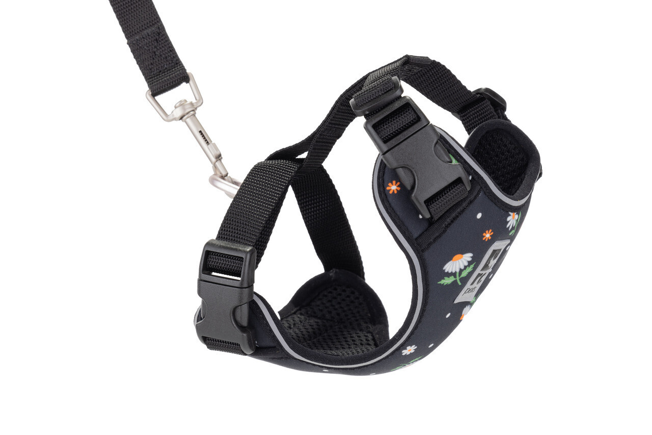 Adventure Kitty Harness Daisies