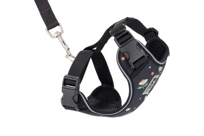 Adventure Kitty Harness Daisies