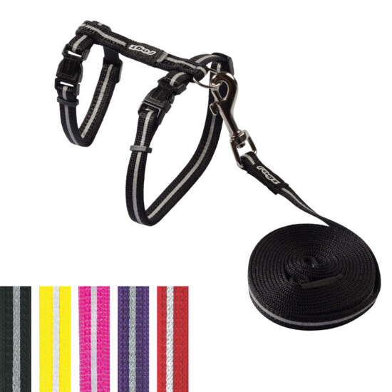 AlleyCat Harness &amp; Lead Black 9-16 in