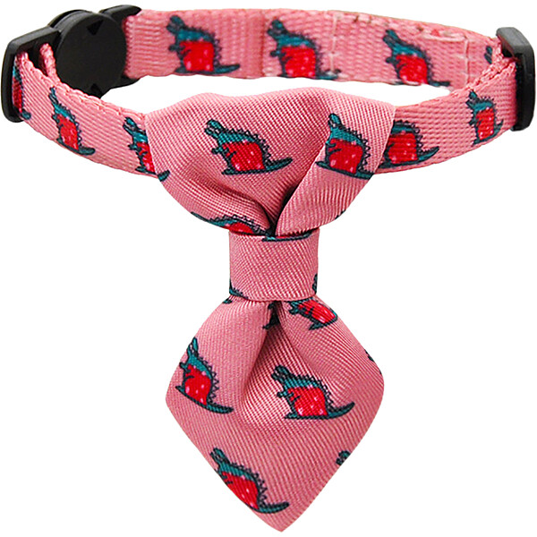 Collar Catzilla | Cat
