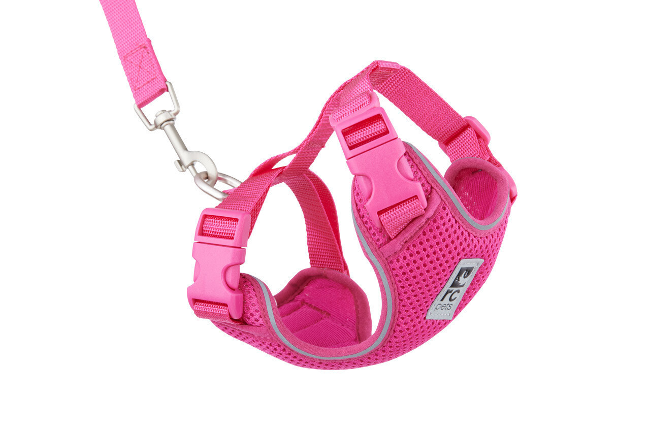 Adventure Kitty Harness Raspberry Small