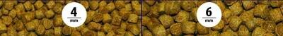 NorthFin Jumbo Fish Formula Pellet 500g 4mm