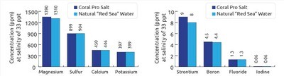 Red Sea - Coral Pro Salt 175G