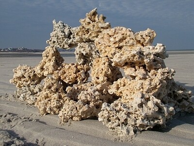 Base Rock - Marco Rock Reef Saver
