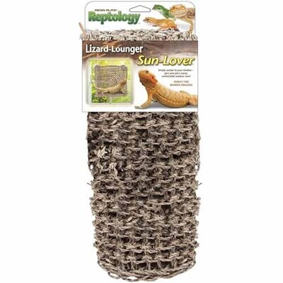 Penn Plax - Natural Window Lizard Lounger Sun Lover 14 inch W x 11 inch L