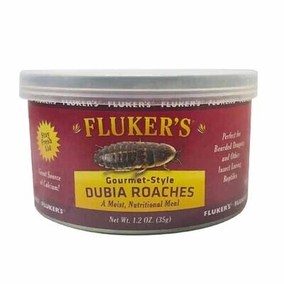 Flukers - Dubia Roaches 1.2 oz