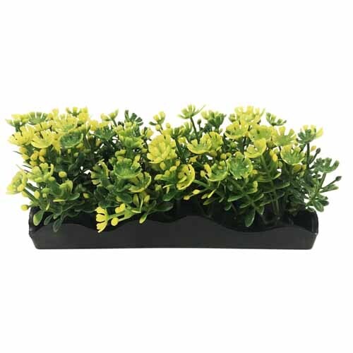 Penn Plax Aqua Plant Small 4.5in Long x 2in Tall Yellow Bunch Plant