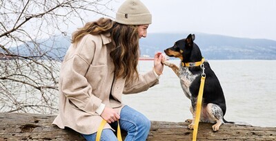 Collars, Leashes &amp; Accessories