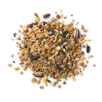 Bird Foods