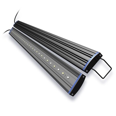 Lighting and Canopies