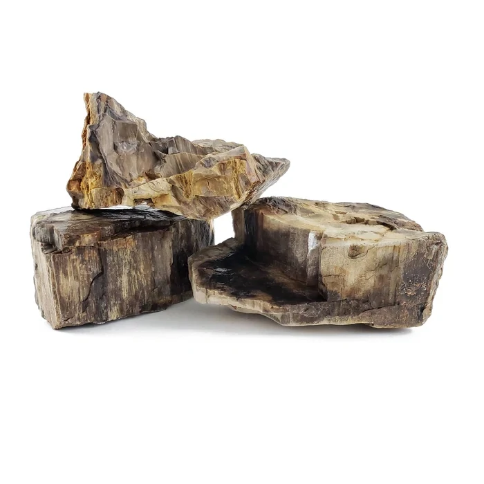 Canyon Petrified Stone (Sold By Lb.)