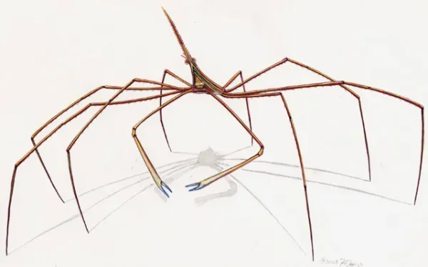 Crab - Arrow