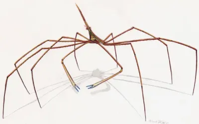 Crab - Arrow