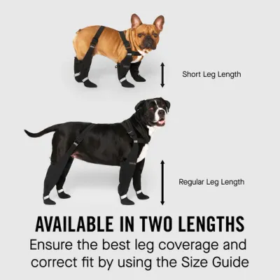 Canada Pooch - Suspender Boots, Long - Black