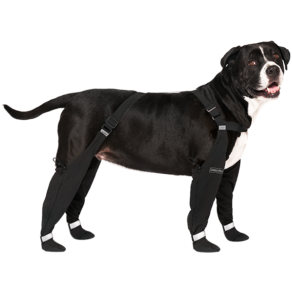 Canada Pooch - Suspender Boots, Long - Black, Size: 1 Long