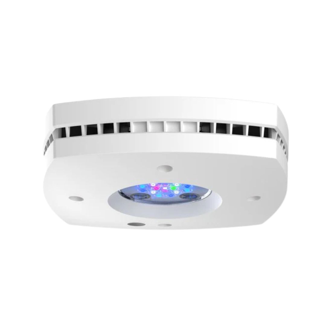 AI Prime 16HD White