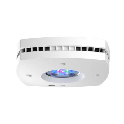 AI Prime 16HD White