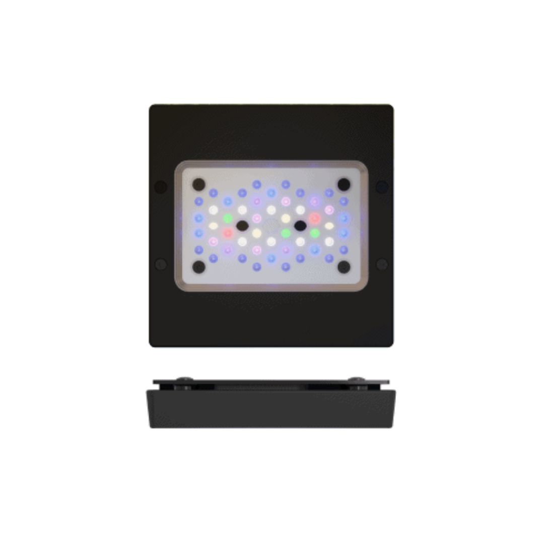 Radion XR15 G6 PRO