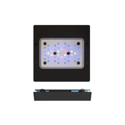 Radion XR15 G6 Blue