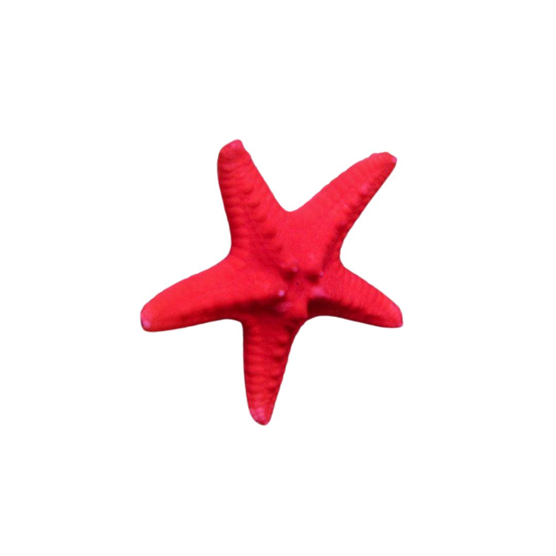 Starfish - Chocolate Chip Pure Red