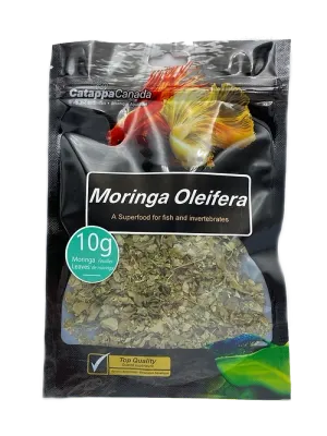 Catappa Moringa Oleifera