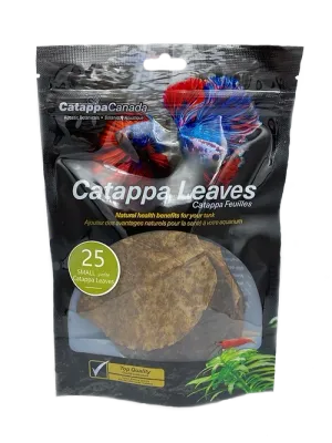Catappa Leaves Sm 25pk