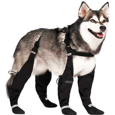 Canada Pooch - Suspender Boots, Long - Black